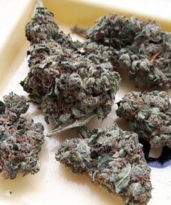 Holy Grail OG
