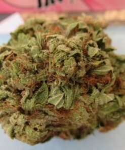 Blue Rhino