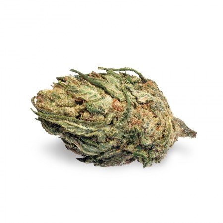 420 CARAT FEMINIZED - Image 2