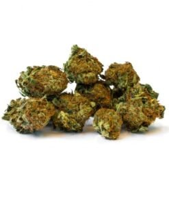 Alternative view of AFGHAN FEMINIZED