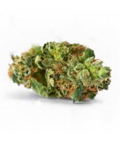 Alternative view of AMS MOST WANTED FEMINIZED COMBO PACK