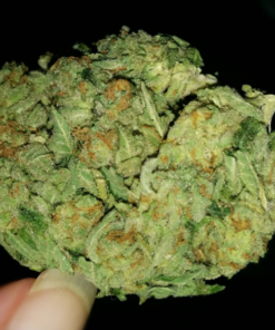 AK 47