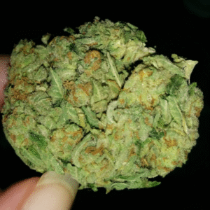 AK 47