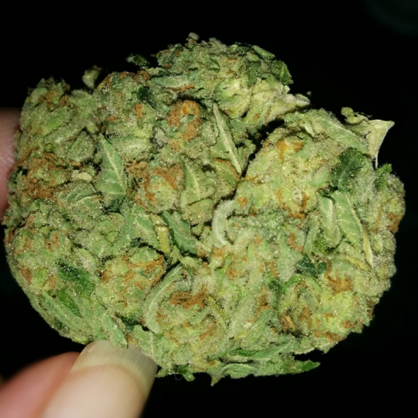 AK 47