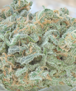 OG Kush