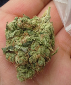 Sour Diesel Strain