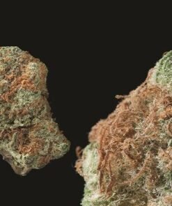 Strawberry Cough