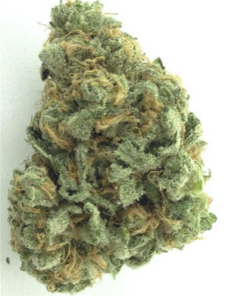 Blue Dream