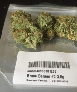 Bruce Banner #3