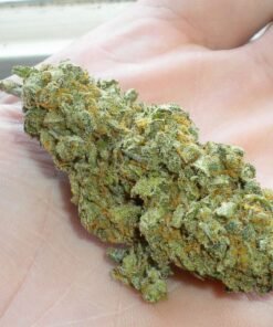 Green Crack