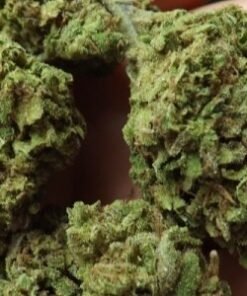 Jack Herer