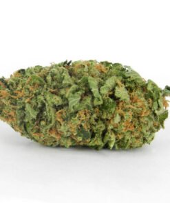 Northern Lights