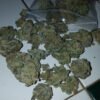 Nova OG