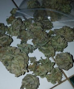Nova OG