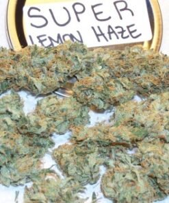 Super Lemon Haze