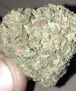 Sativa
